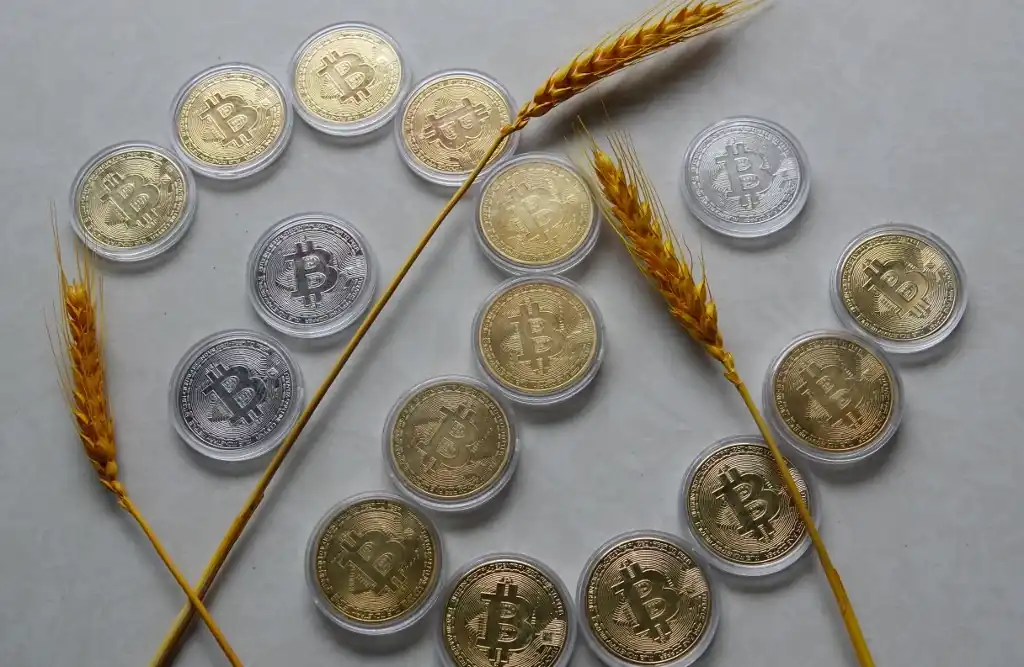 From Gift to Goldmine: Physical Bitcoins - A Collector's Dream